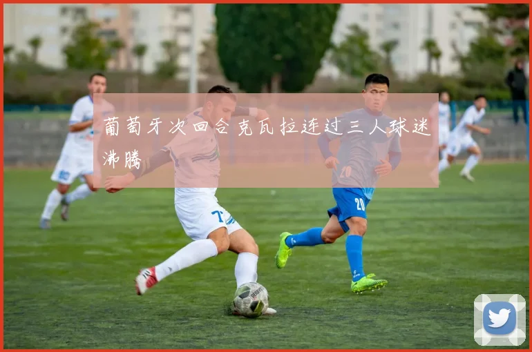 葡萄牙次回合克瓦拉连过三人球迷沸腾