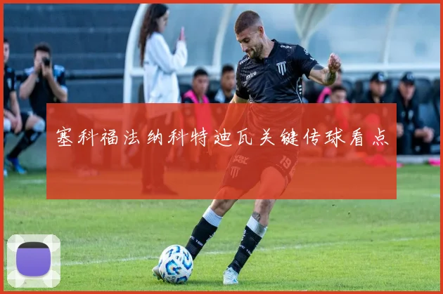塞科福法纳科特迪瓦关键传球看点