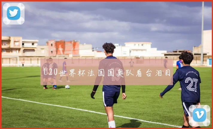 U20世界杯法国国奥队看台泪目