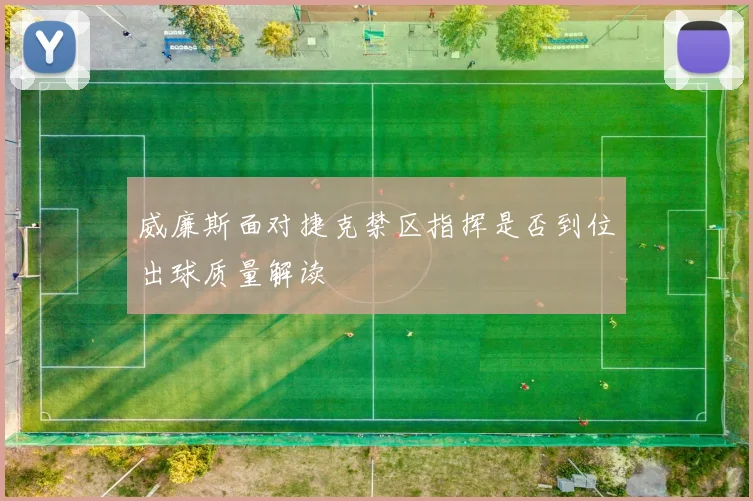 威廉斯面对捷克禁区指挥是否到位出球质量解读