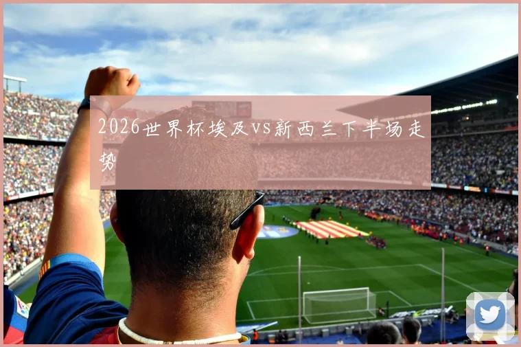 2026世界杯埃及vs新西兰下半场走势